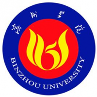 滨州学院（中外合作办学）