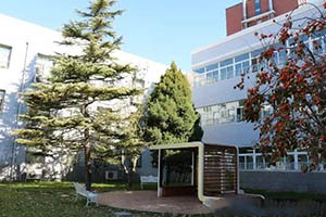 北京市忠德学校凉亭