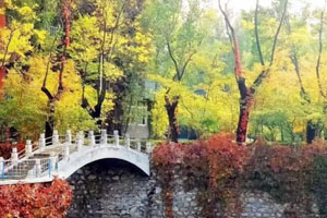 橘郡国际学校（北京校区）人工湖