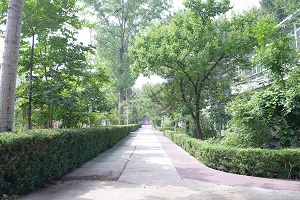 国贤BIC国际高中学部校园环境2