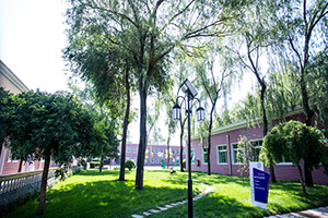 清华志清中学国际部校园