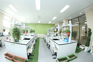 北京明诚外国语学校洪堡学院校园环境