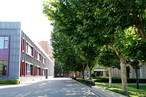 北京新学道临川学校国际部校园风景