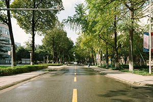 电子科技大学国际课程中心校园道路