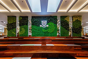 北京市朝阳区赫德学校阶梯大厅