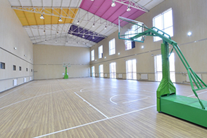 北京市中关村外国语学校学校篮球馆