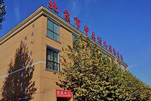 北京市中关村外国语学校校园一角