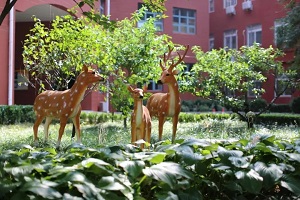 北京市二十一世纪国际学校校园环境