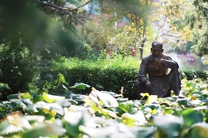 北京市二十一世纪国际学校校园环境