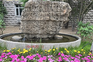 天津奥宇哈珀学校海纳百川