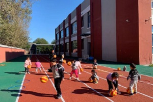 北京市朝阳区博雅明悦学校学校体育场