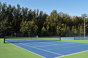 北京德威英国国际学校网球场