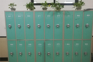 上海金山区枫叶学校储物柜