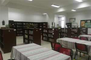 上海金山区枫叶学校阅览室