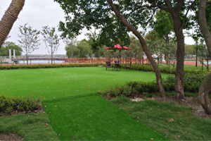 上海宏润博源学校校园环境