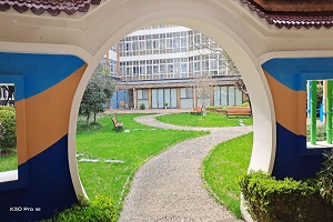 上海澳大利亚国际高中林荫小道