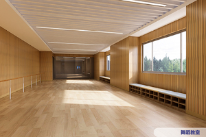 上海常青藤学校