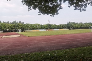 上海金苹果双语学校国际部操场