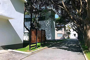 上海常青学校环境