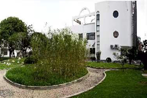 上海常青学校环境