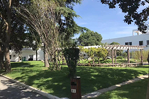 上海常青学校环境