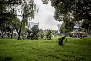 上海常青学校环境