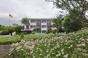 上海常青学校环境