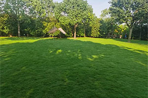 上海朝阳义塾草坪