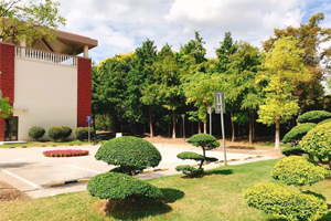 上海天华学院国际中本贯通项目