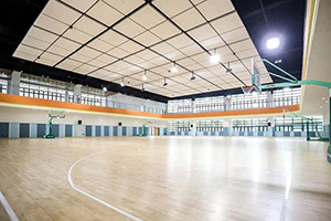 南京金地未来学校