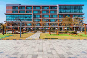 上海耀华临港校区(民办沪港)校园环境