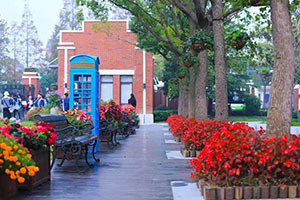 上海新纪元双语学校校园环境