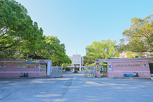 上海成才教育学院校门