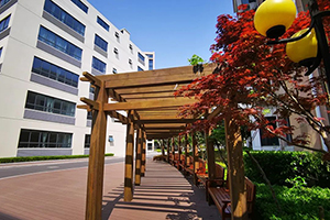 上海尚德实验学校融合部高中校园环境