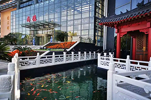 上海尚德实验学校融合部高中校园环境