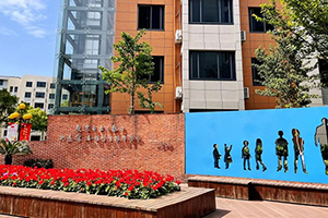 上海尚德实验学校融合部高中校园环境