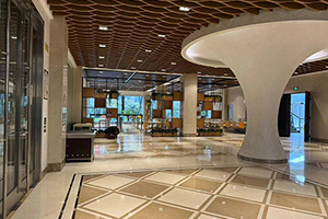 素尼书院香港DSE课程上海校区