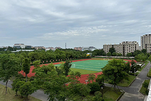 上海存志学校集团融合部运动场