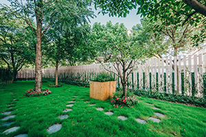 上海哈罗国际学校校园一角