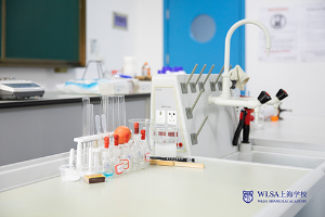 WLSA上海学校实验室