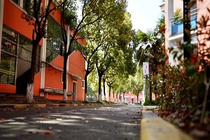 上海诺科学校静安校区环境