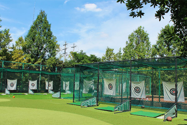 绿城常春藤国际教育