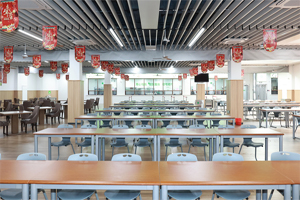 新华艺术高级中学