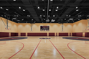 上海康德双语实验学校室内体育馆