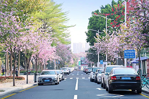 广东实验中学AP国际课程