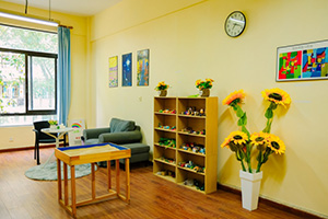 雷纳森英豪国际学院心理室