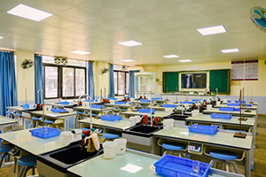 雷纳森英豪国际学院