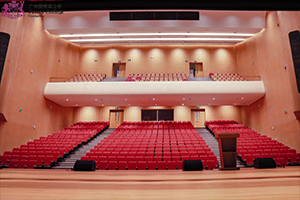 广州市斐特思学校演艺中心