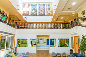 广州天河爱莎外籍人员子女学校校园环境