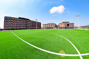 珠海横琴哈罗礼德学校全尺寸操场